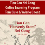 Tian-Gan-Nei-Gong-Online-Learning-Program-By-Tom-Bisio-Valerie-Ghent.jpg
