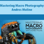 Mastering-Macro-Photography-By-Andres-Moline.jpg