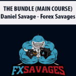 THE-BUNDLE-MAIN-COURSE-By-Daniel-Savage-Forex-Savages.jpg