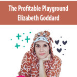 The-Profitable-Playground-By-Elizabeth-Goddard.jpg