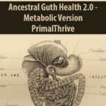 Ancestral-Guth-Health-2.jpg