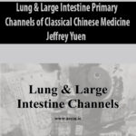 Lung-Large-Intestine-Primary-Channels-of-Classical-Chinese-Medicine-By-Jeffrey-Yuen.jpg