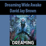 Dreaming-Wide-Awake-By-David-Jay-Brown.jpg