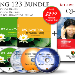 Spring Forest Qigong Level 1, 2, and 3 with Bonus - Qi~ssage Learning Course by Master Chunyi Lin