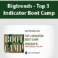 Bigtrends - Top 3 Indicator Boot Camp