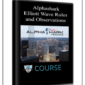 Alphashark – Elliott Wave Rules and Observations