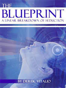 The Blueprint A Linear Breakdown Of Seduction by Derek Vitalio