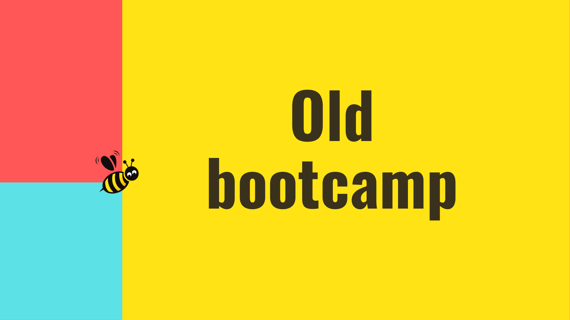 November 2021 Bootcamp - Stockbee