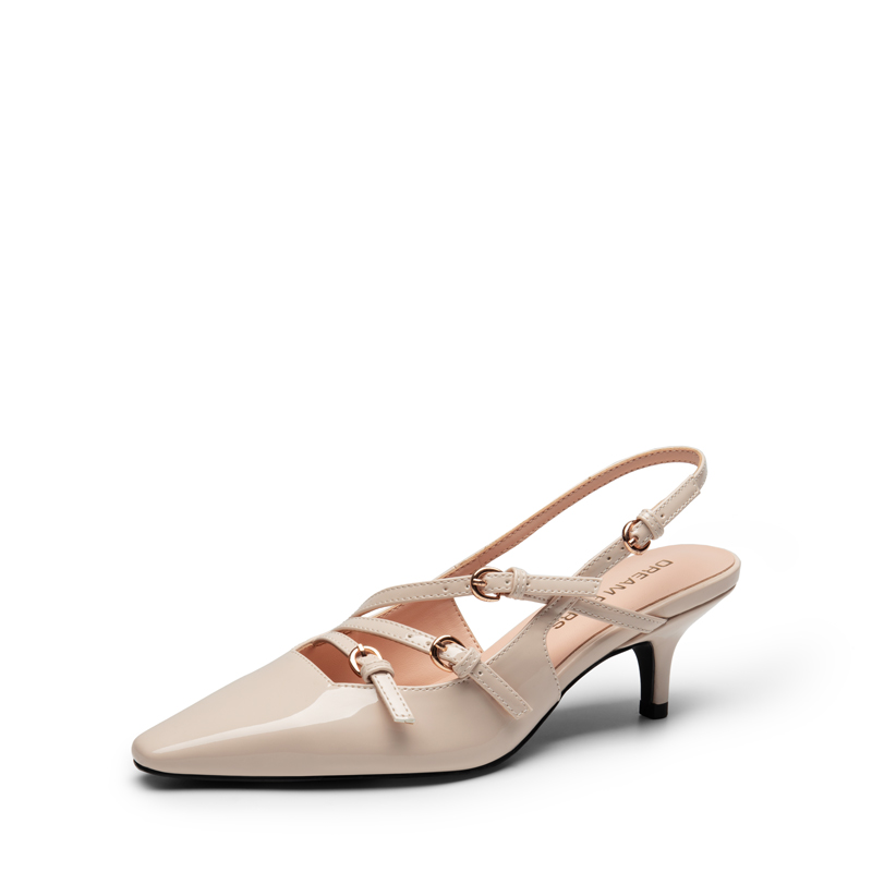DREAM PAIRS Buckle Strap Pointed Slingback Heel Pumps