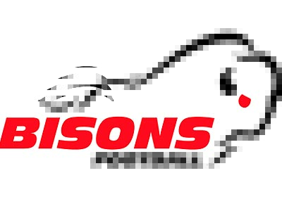Brantford BISONS