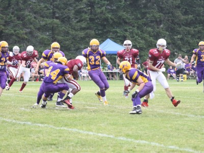 Stallion stomp