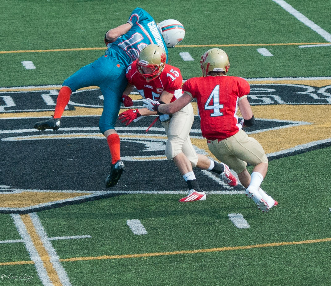 jv camb lions v dolphins (7)