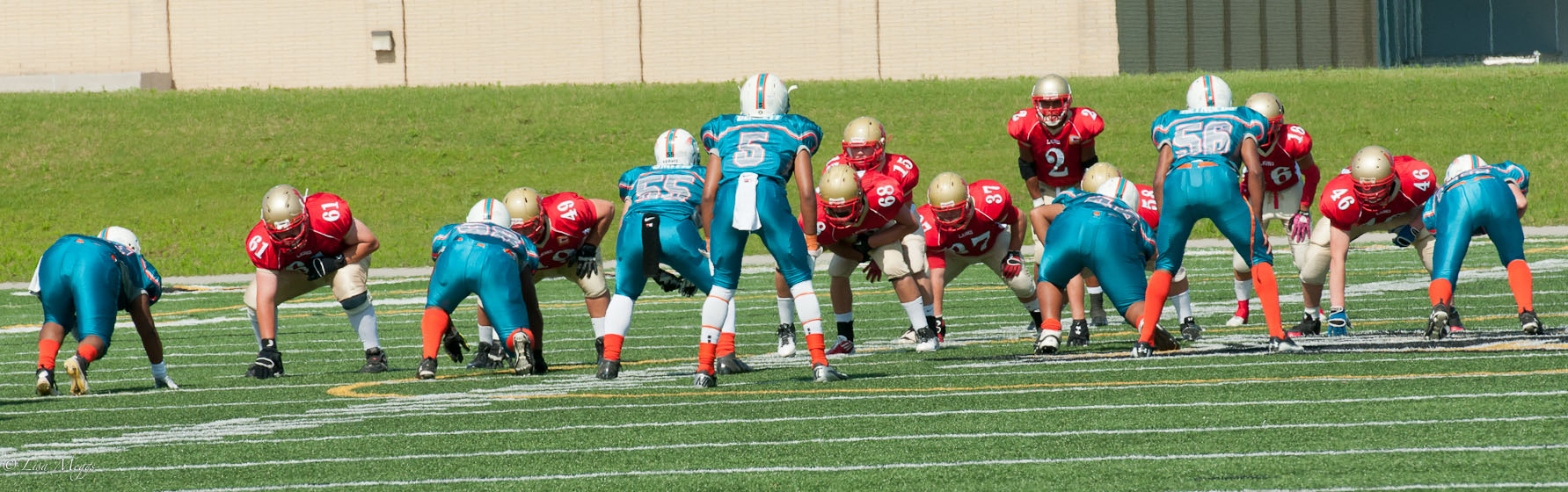 jv camb lions v dolphins (3)
