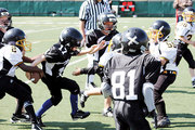 ham steelers