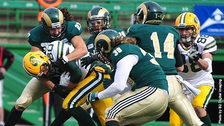 Rams versus Dinos