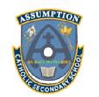 AssumptionLogo