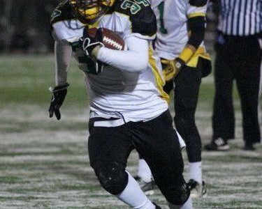 Sting with buzz (VIDEO)