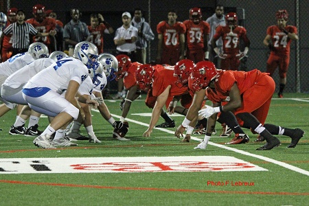 Cheetahs versus Cougars 2014