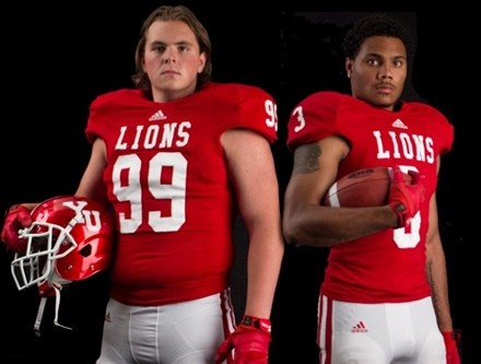 Lions 2014 Preview