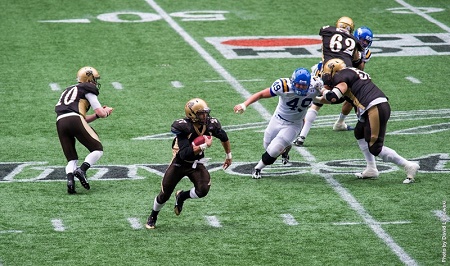 Bisons 2014 Preview