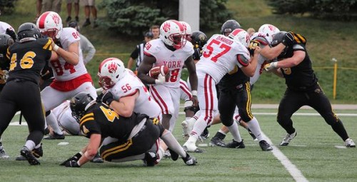 York Lions 2015 Amankwaa
