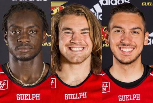 fball-aotw-nov16