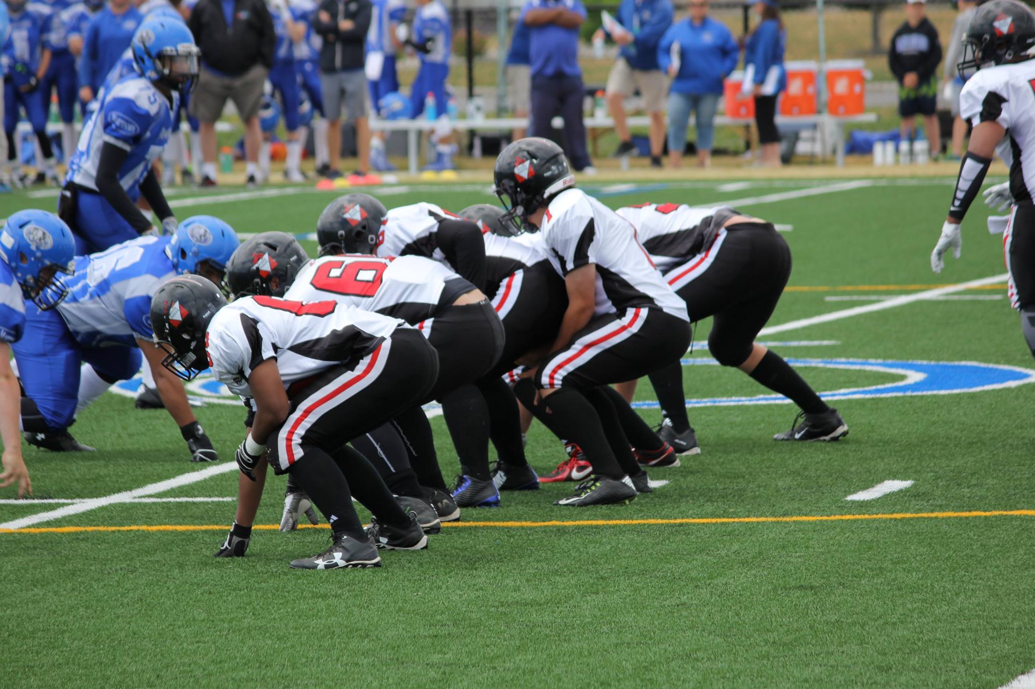 Photo credit: Barb Dodge