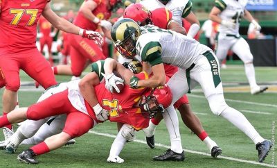 Dinos vs rams