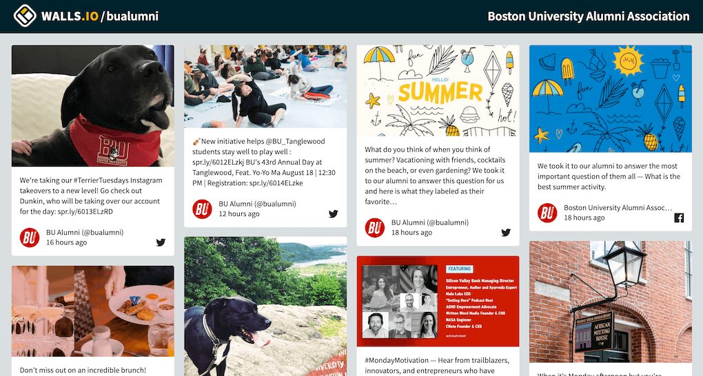 Boston University Alumni wall