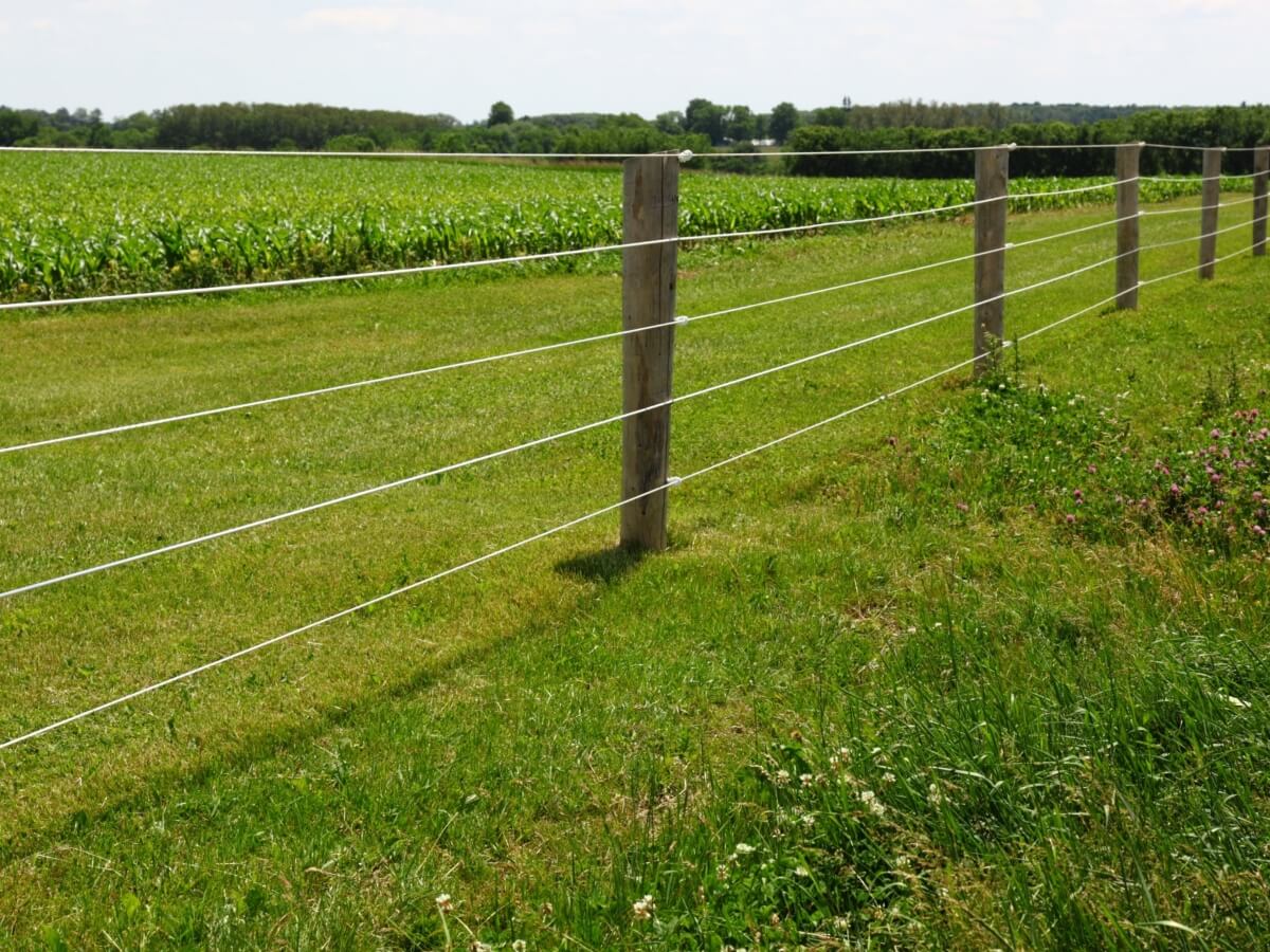 wood fence materials