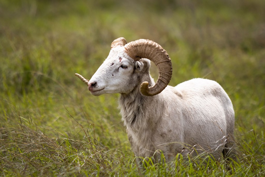 464 Inspiration Loop Fredericksburg TX 78624 Willingham Land Company