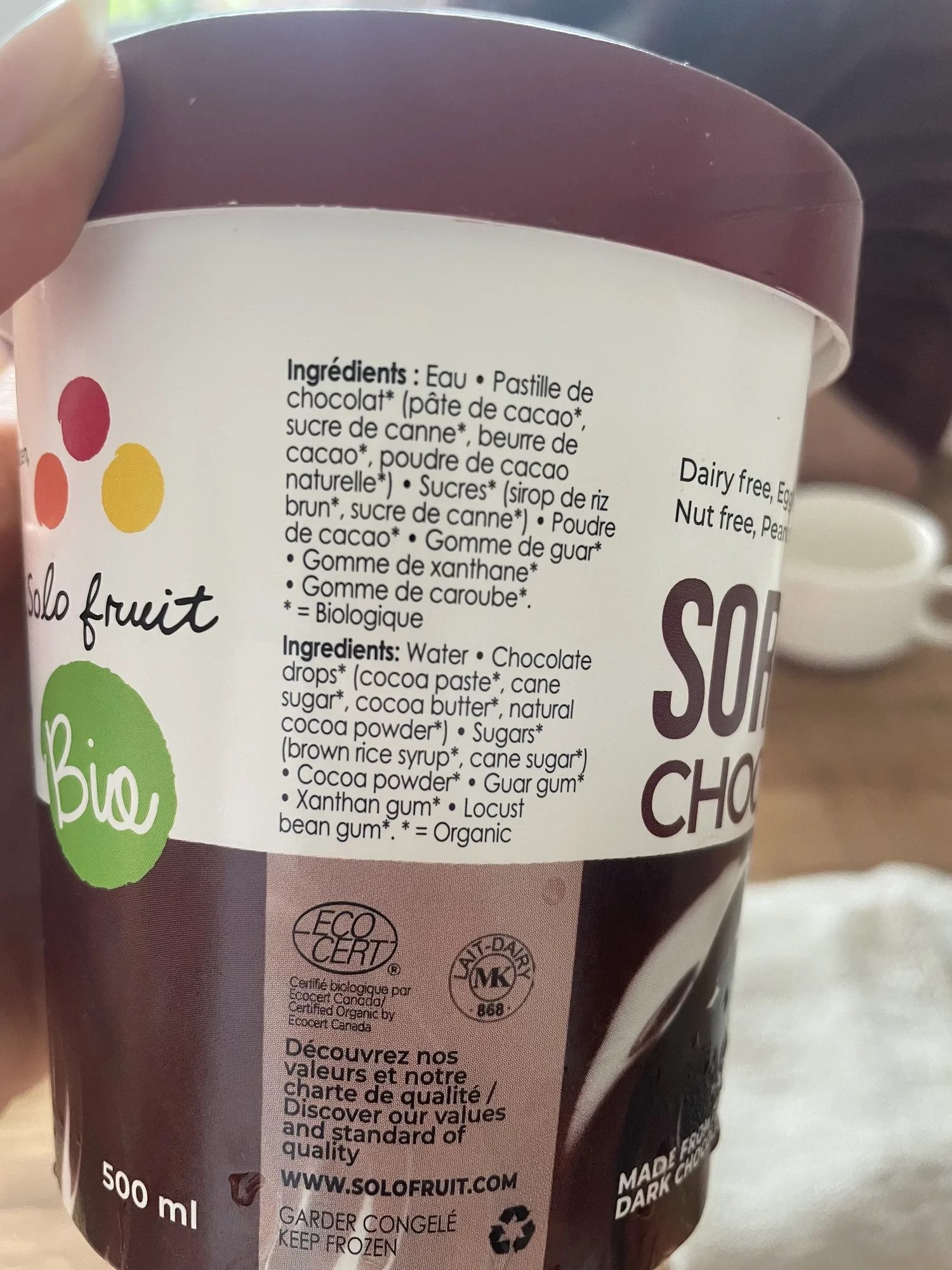 Sorbet Chocolat Solo Fruit