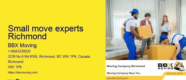Small move experts Richmond