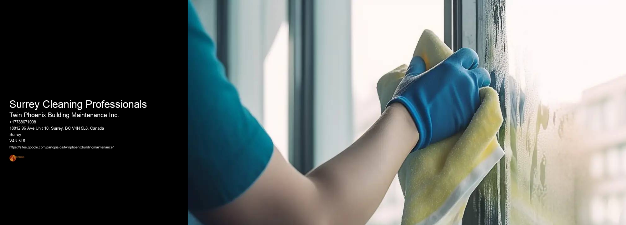 Surrey Cleaning Professionals