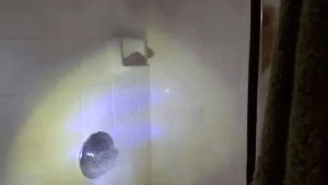 Commercial Cleaning Service Guasti Ca