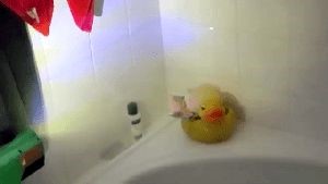 Disinfection Cleaning Service Baldwin Park Ca