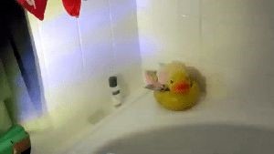 Disinfection Cleaning Service Bellflower Ca