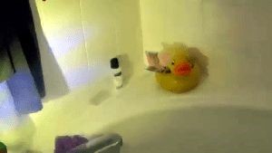 Disinfection Cleaning Service Beverly Hills Ca