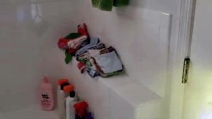 Disinfection Cleaning Service La Mirada Ca