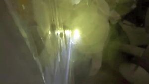 Disinfection Cleaning Service Buena Park Ca