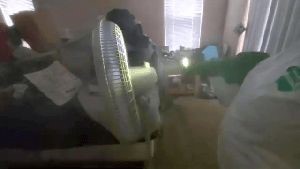 Disinfection Cleaning Service Whitewater Ca