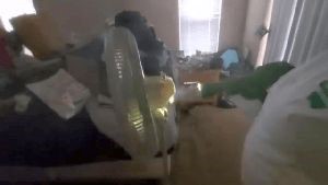 Outdoor Disinfecting Services