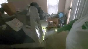 Outdoor Disinfecting Services Artesia Ca