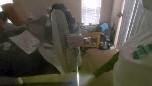 Outdoor Disinfecting Services Azusa Ca