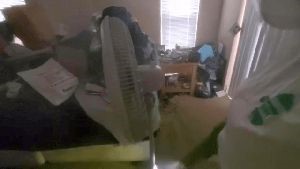 Outdoor Disinfecting Services Baldwin Park Ca