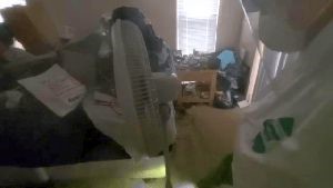 Outdoor Disinfecting Services Beverly Hills Ca