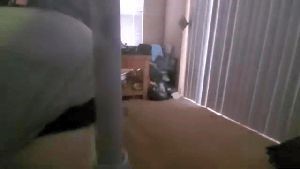 Outdoor Disinfecting Services Diamond Bar Ca