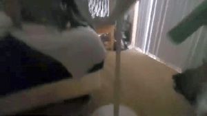 Outdoor Disinfecting Services Gardena Ca