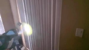 Outdoor Disinfecting Services Sierra Madre Ca