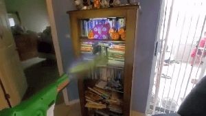 Outdoor Disinfecting Services Forest Falls Ca